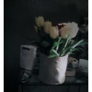 Meet your Posher, Valarie